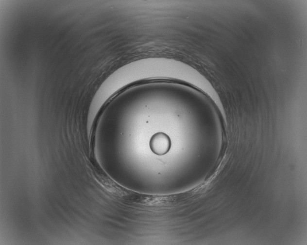 X0000058790186200509301151