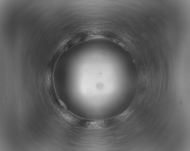 X0000058790188200509301151