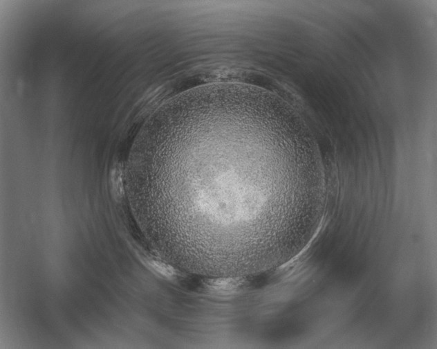 X0000058790191200509301151