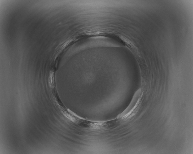 X0000058790192200509301151