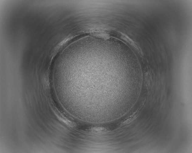 X0000058790203200509301150