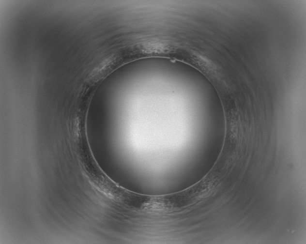 X0000058790211200509301149