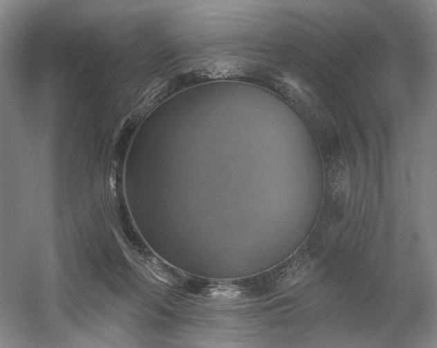 X0000058790214200509301149