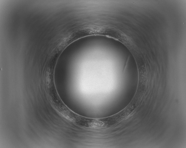 X0000058790215200509301149