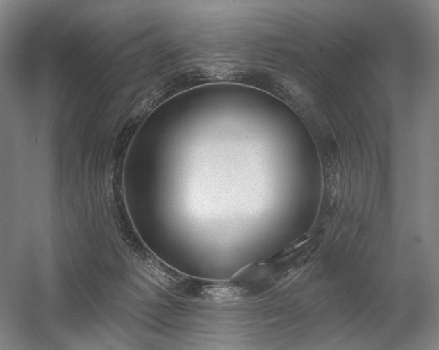 X0000058790221200509301149