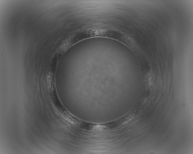 X0000058790222200509301149