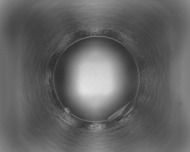 X0000058790225200509301149