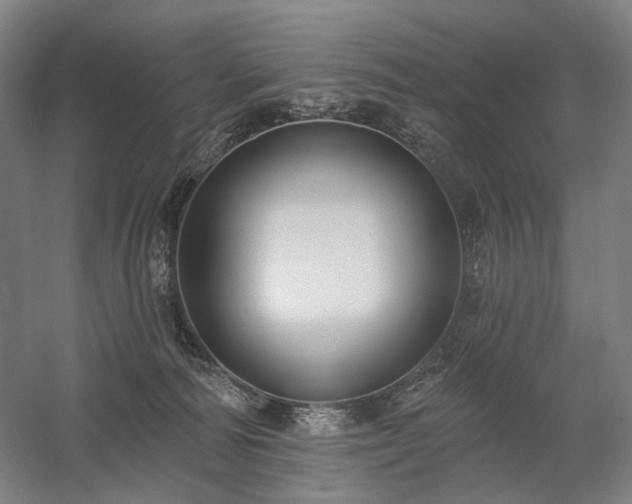 X0000058790226200509301149