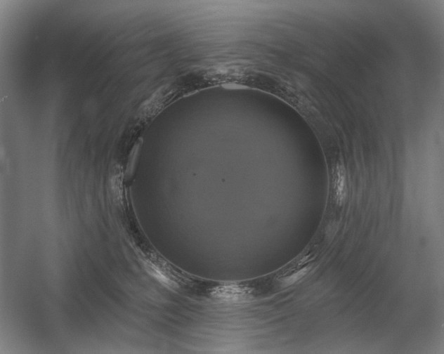 X0000058790231200509301149