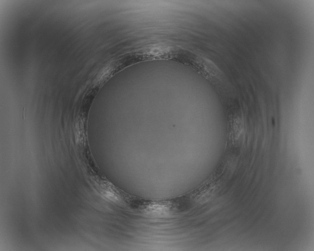X0000058790236200509301149