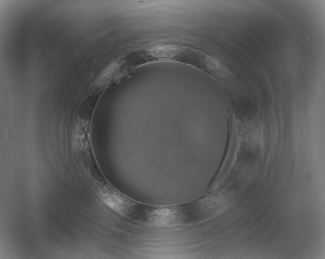 X0000058790237200509301149