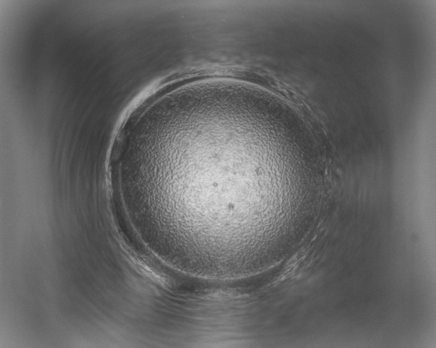 X0000058790246200509301148