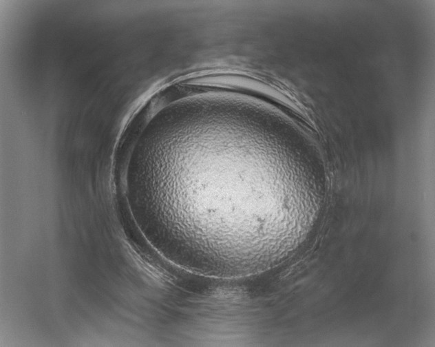 X0000058790248200509301148