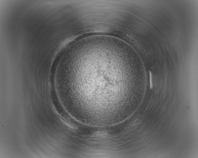 X0000058790252200509301148
