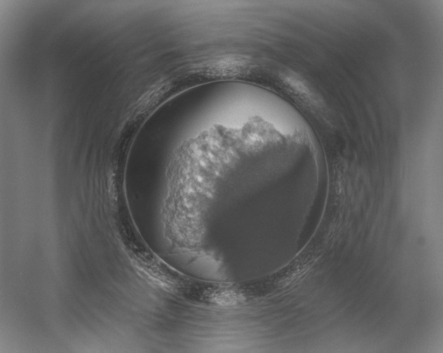 X0000058790258200509301148