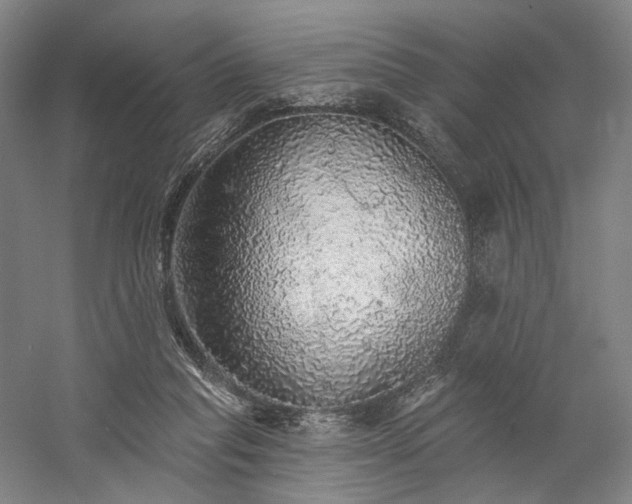 X0000058790261200509301149
