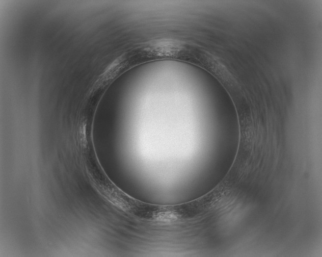 X0000058790262200509301149