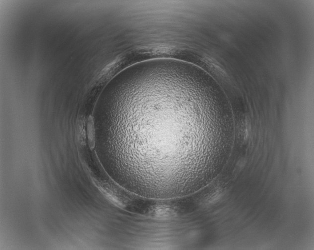 X0000058790264200509301149