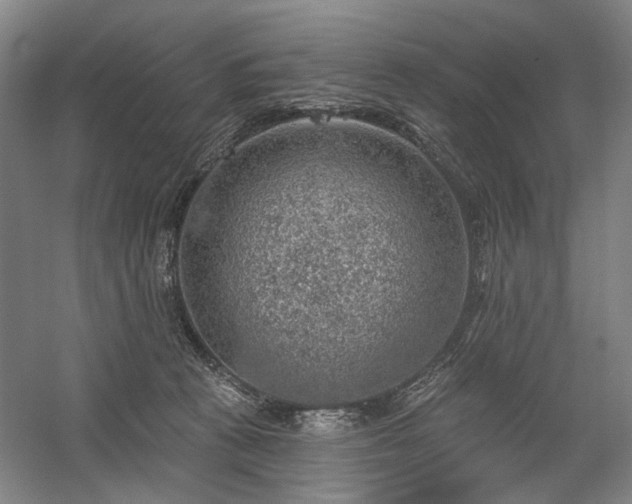 X0000058790273200509301149