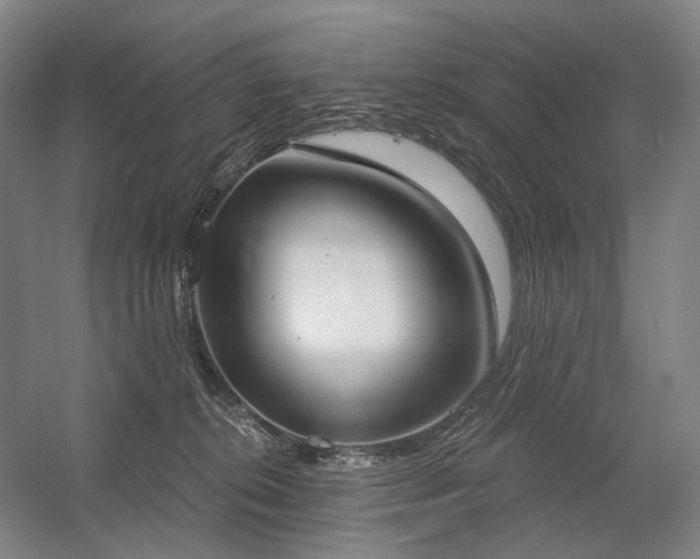 X0000058790276200509301149