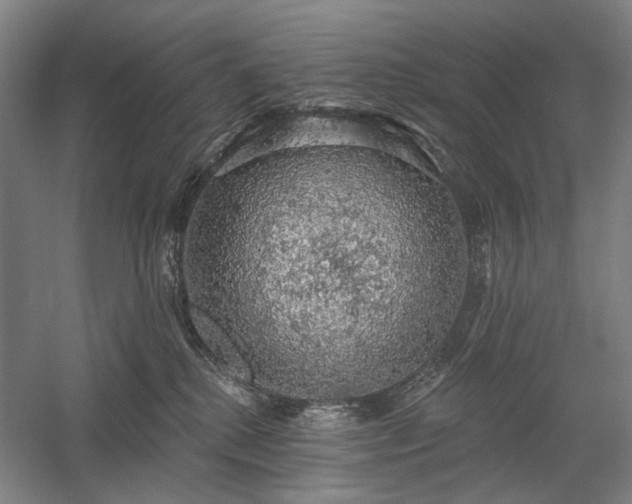X0000058790280200509301149