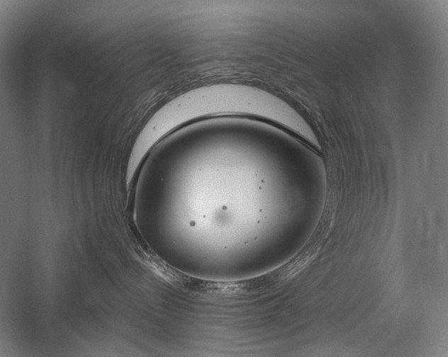 X0000058790288200509301149