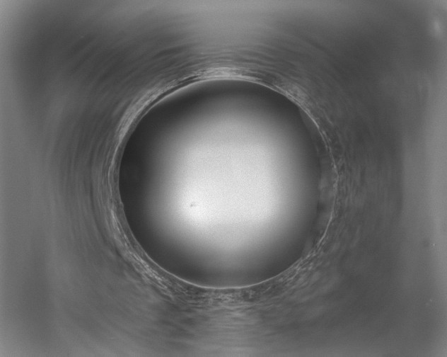 X0000058790289200509301148