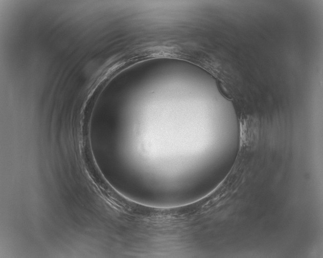X0000058790291200509301148