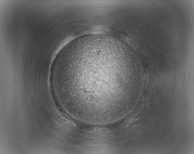 X0000058790292200509301148