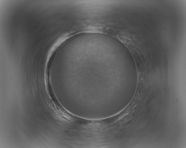 X0000058790294200509301148