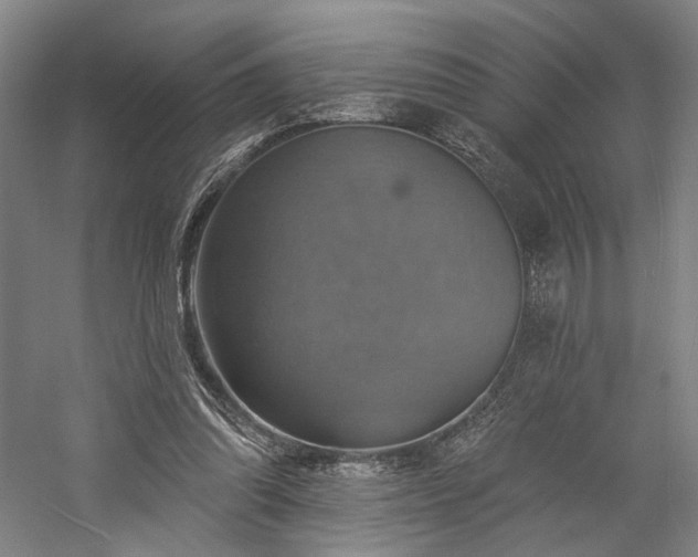 X0000058790302200509301148