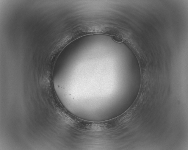 X0000058790305200509301148