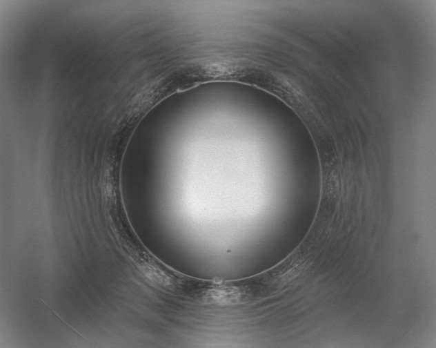 X0000058790317200509301148