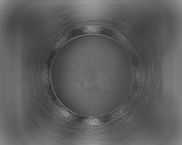 X0000058790322200509301148