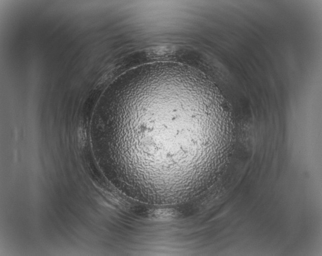 X0000058790324200509301148