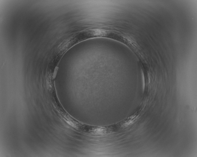 X0000058790325200509301148