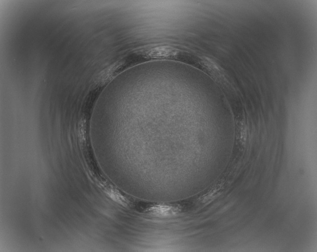 X0000058790326200509301148