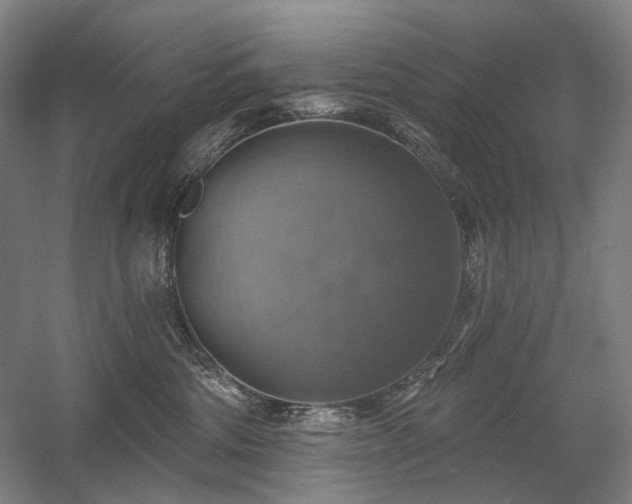 X0000058790330200509301147