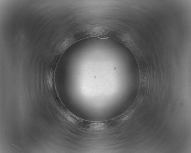 X0000058790334200509301147