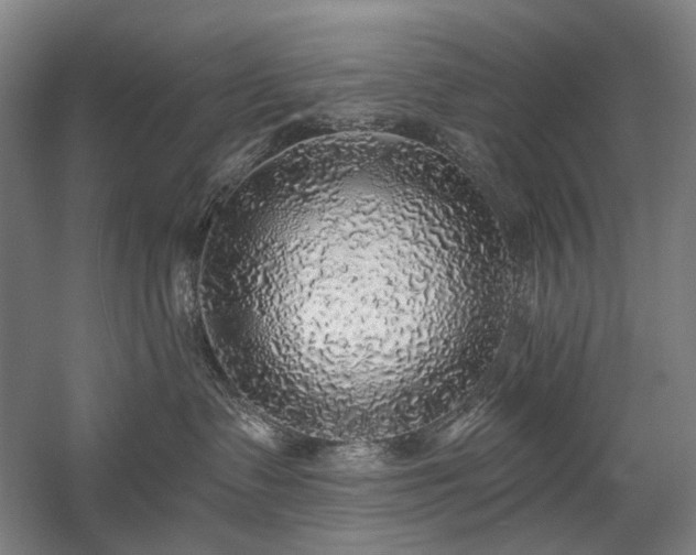 X0000058790335200509301147