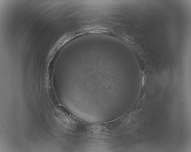 X0000058790339200509301147