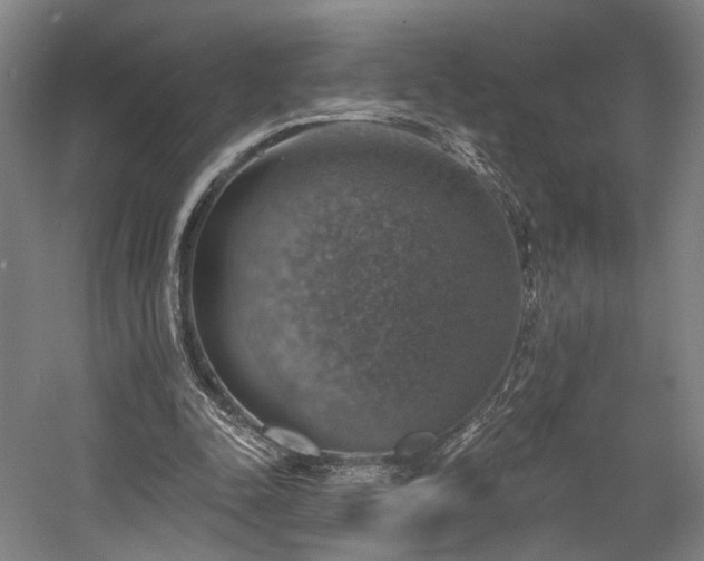X0000058790342200509301147