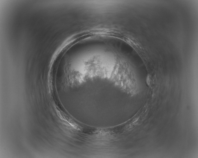 X0000058790343200509301147