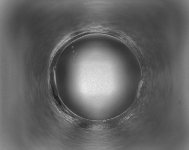 X0000058790344200509301147