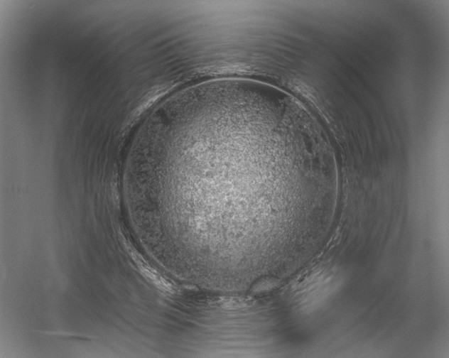 X0000058790345200509301147