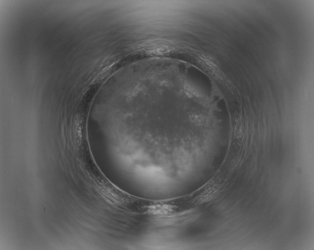 X0000058790363200509301147