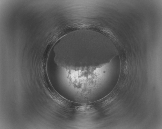 X0000058790366200509301147