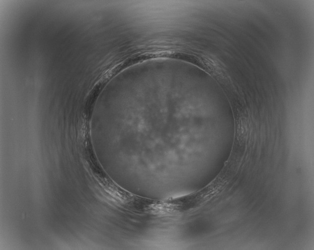 X0000058790367200509301147