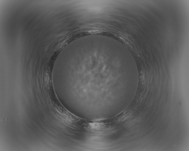X0000058790371200509301147