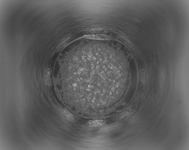 X0000058790378200509301147